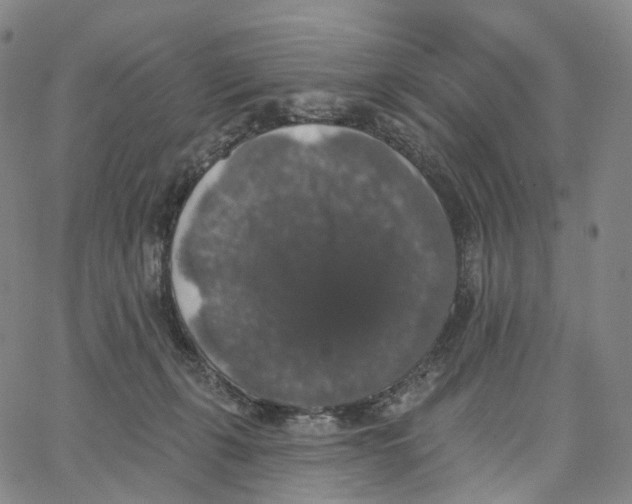 X0000062640271200601181752