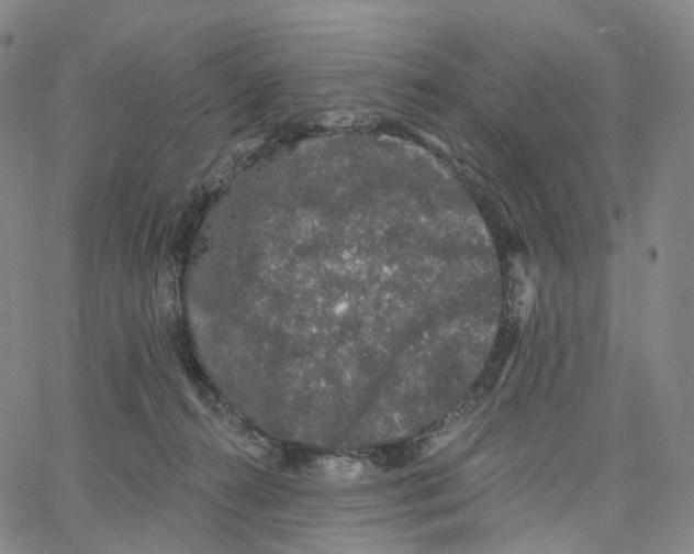 X0000062640272200601181752