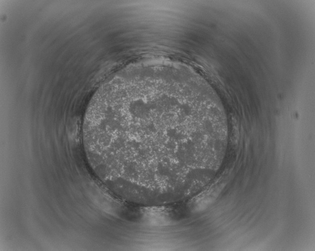 X0000062640273200601181752