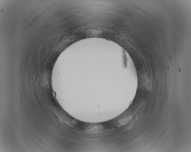 X0000062640274200601181752