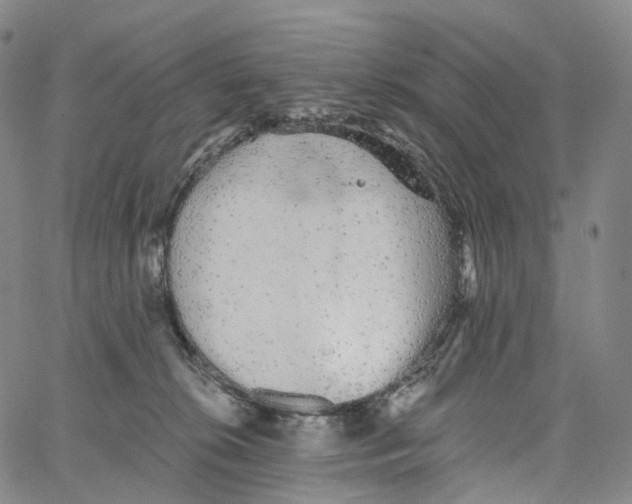 X0000062640276200601181752