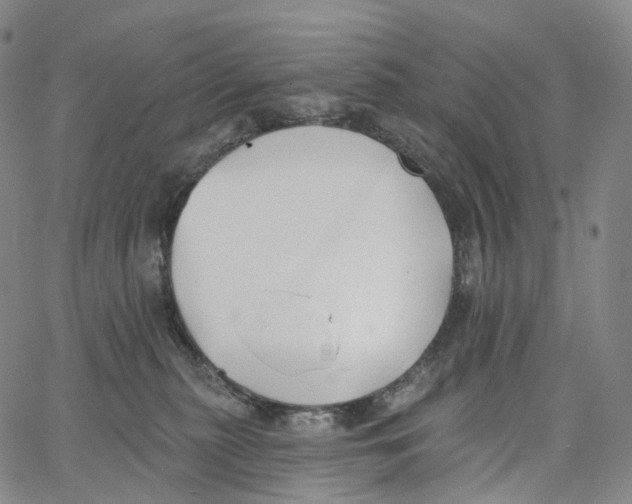 X0000062640279200601181752