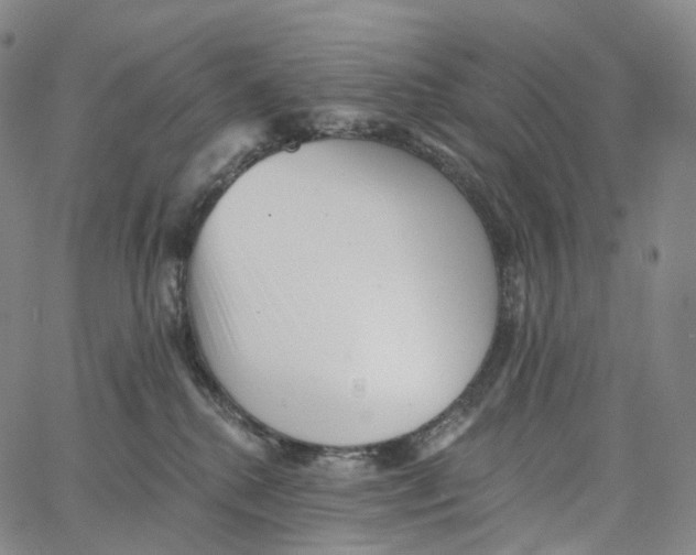 X0000062640280200601181752