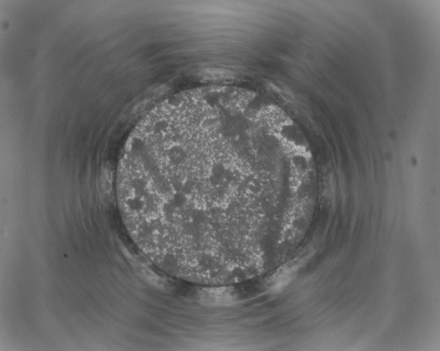 X0000062640281200601181752