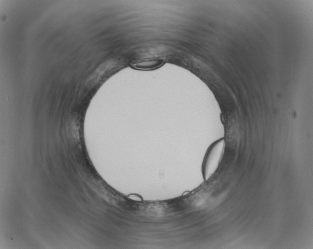 X0000062640282200601181752