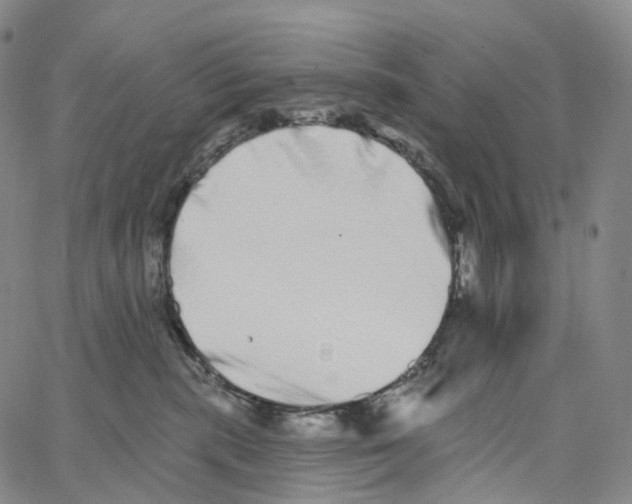 X0000062640283200601181752