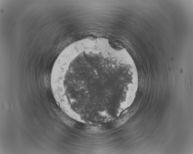 X0000062640285200601181752