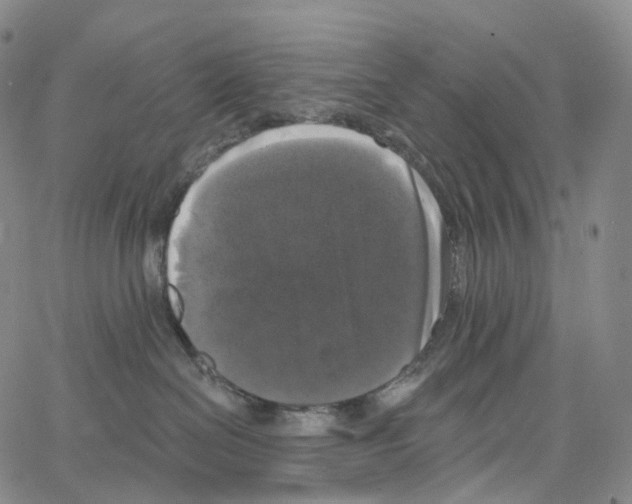 X0000062640286200601181752