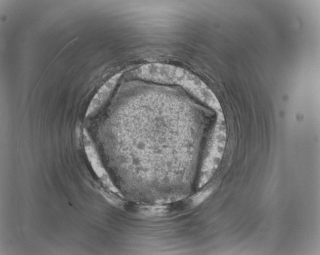 X0000062640288200601181752