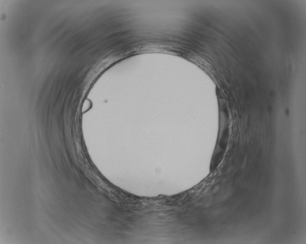 X0000062640289200601181752