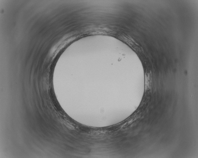 X0000062640291200601181752