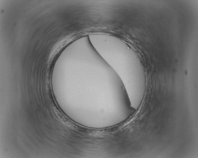 X0000062640293200601181752