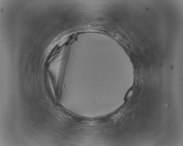 X0000062640295200601181752