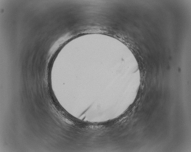 X0000062640296200601181752