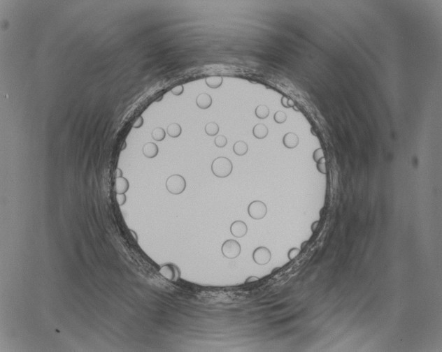 X0000062640297200601181752