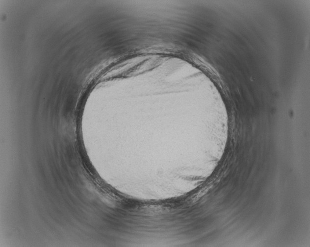 X0000062640298200601181751