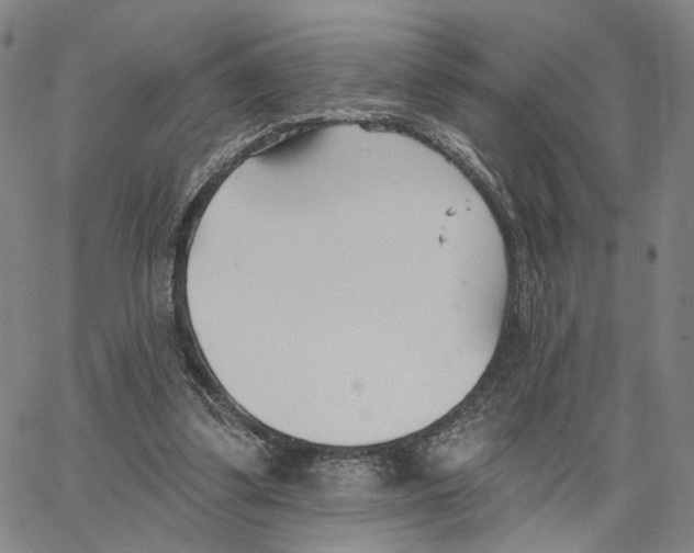 X0000062640299200601181751