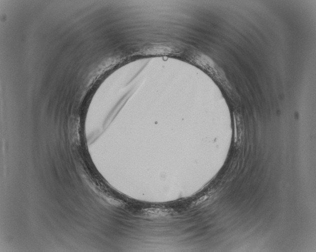 X0000062640300200601181751