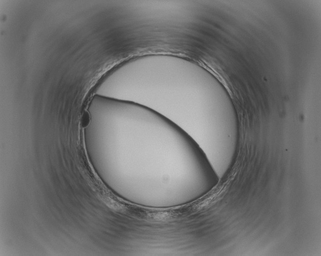 X0000062640301200601181751