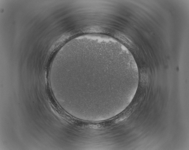 X0000062640302200601181751