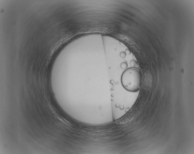 X0000062640303200601181751