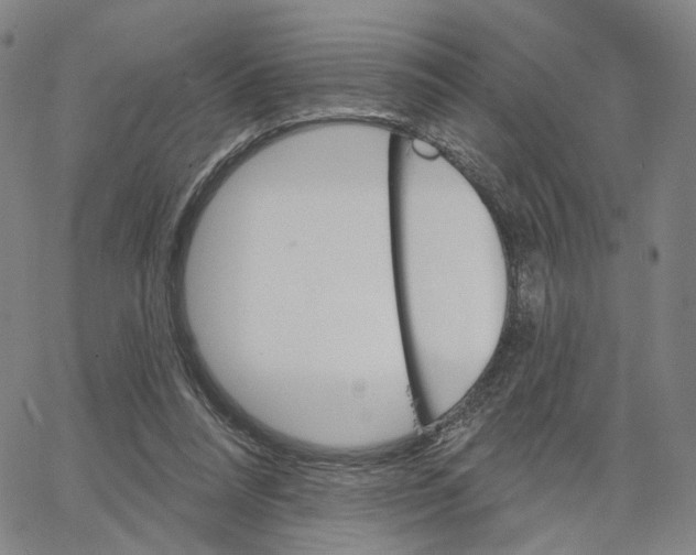 X0000062640304200601181751