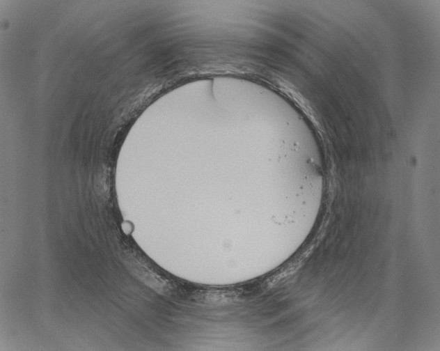 X0000062640305200601181751