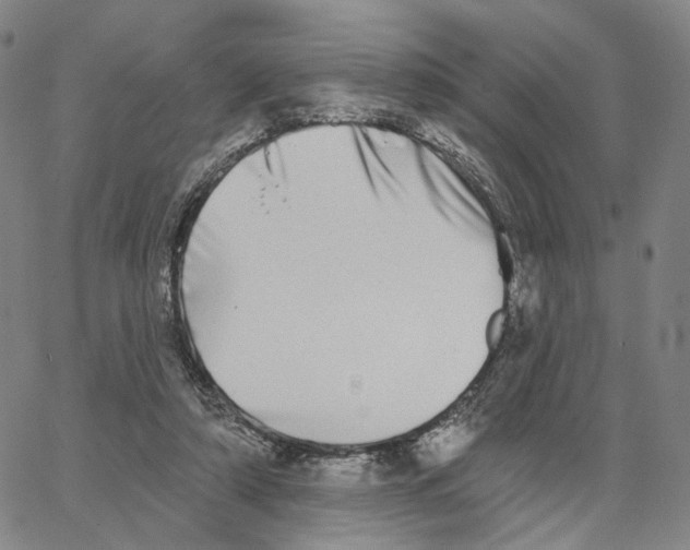 X0000062640306200601181751