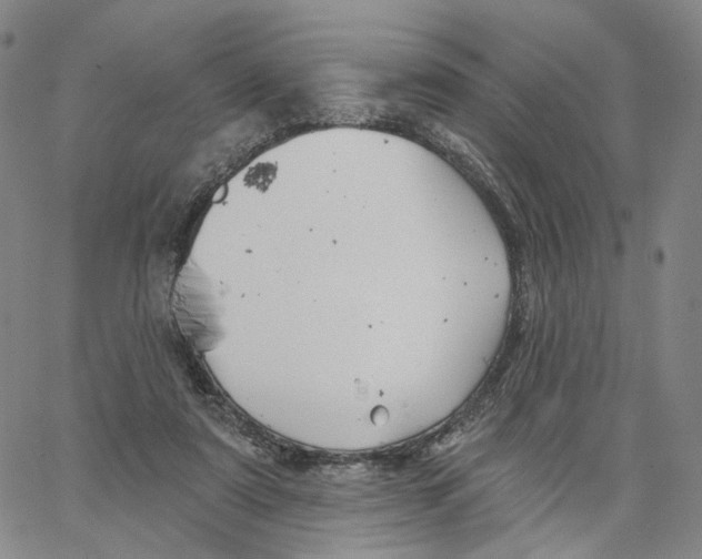 X0000062640307200601181751