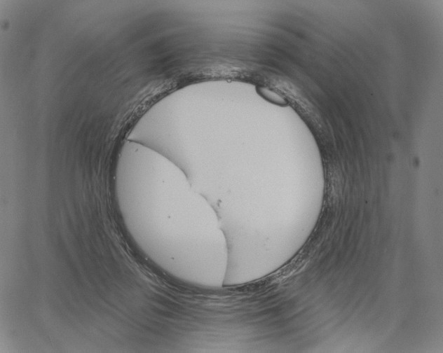 X0000062640309200601181751