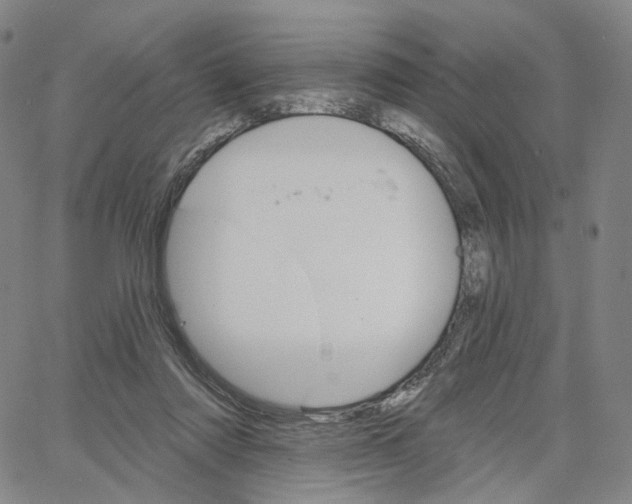 X0000062640310200601181751