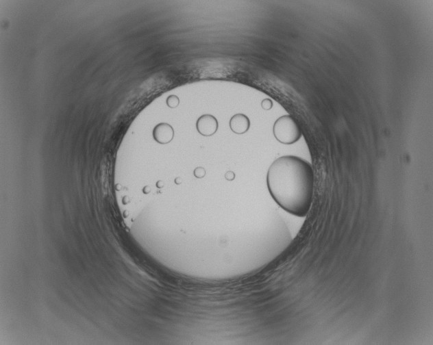 X0000062640311200601181751