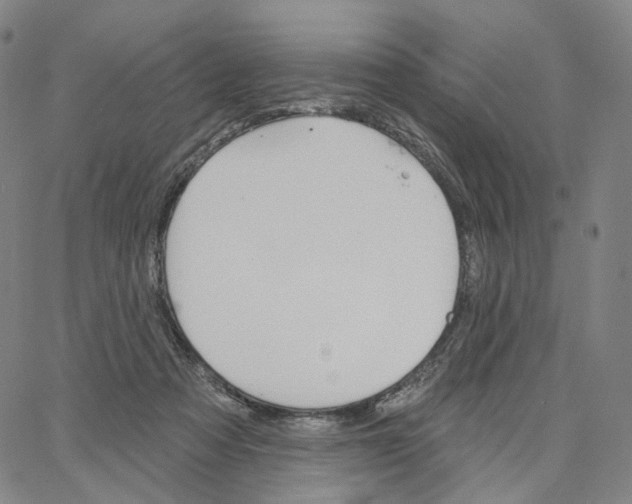 X0000062640313200601181751