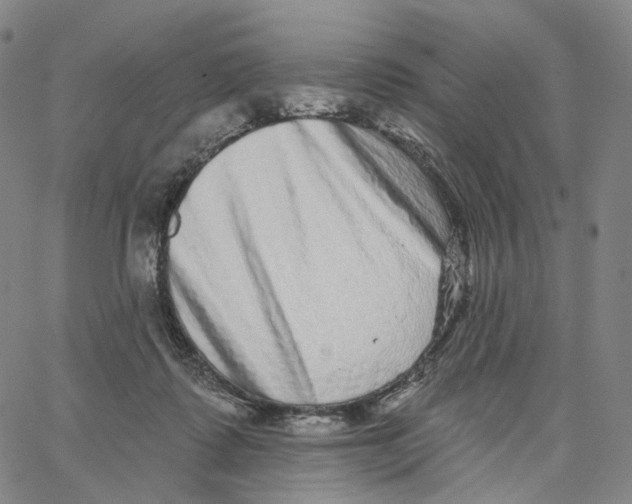 X0000062640315200601181751