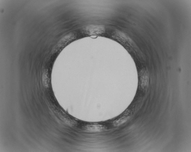 X0000062640316200601181751