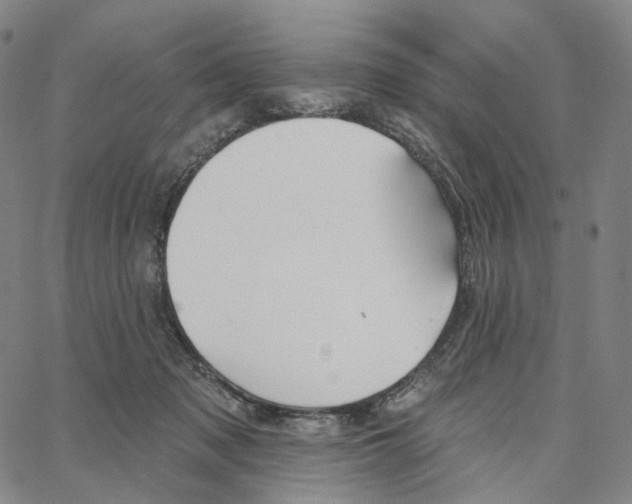 X0000062640317200601181751