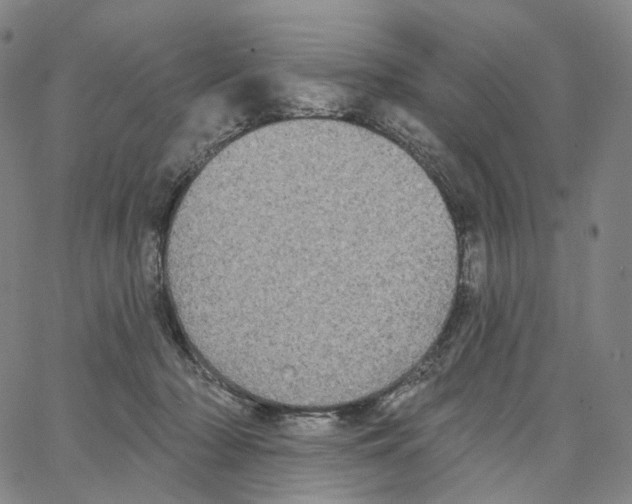 X0000062640318200601181751