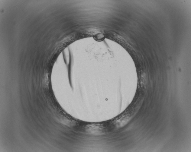 X0000062640320200601181751