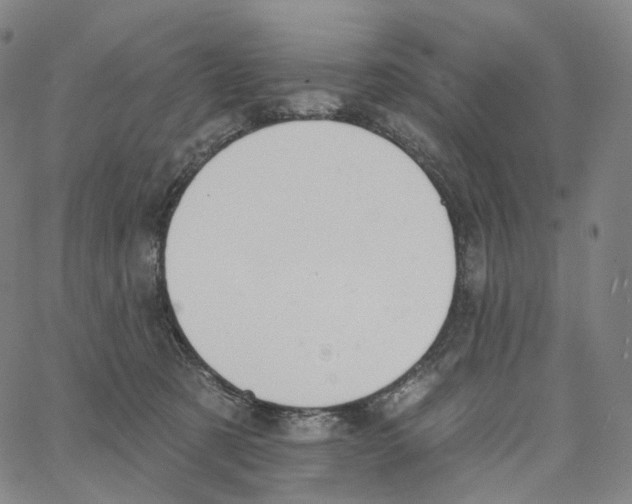 X0000062640321200601181751