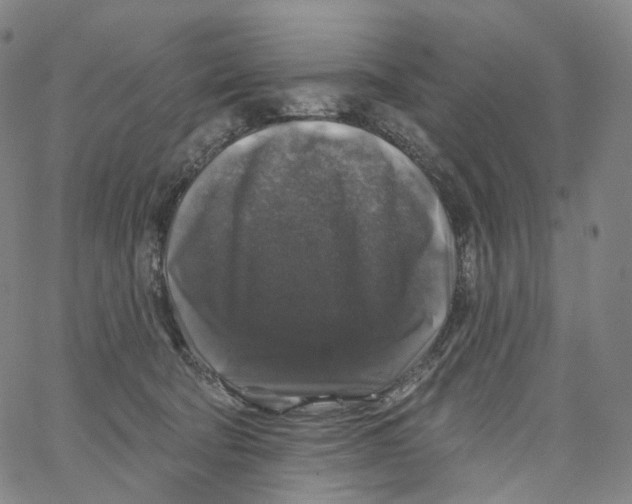 X0000062640322200601181751