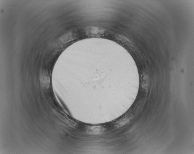 X0000062640324200601181751