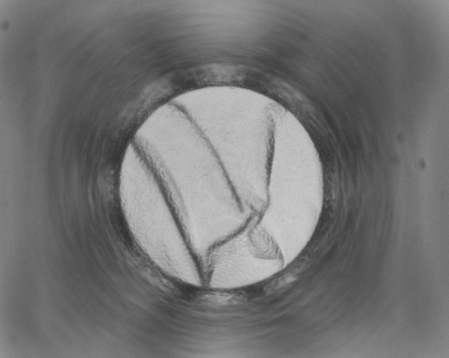 X0000062640326200601181751