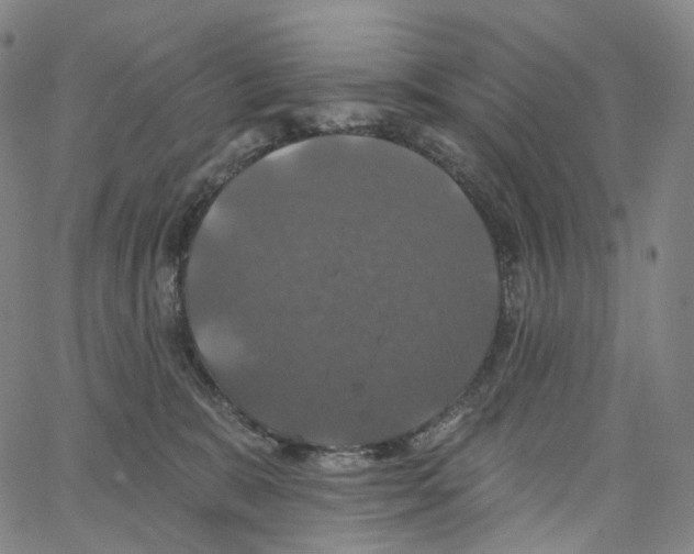 X0000062640327200601181751