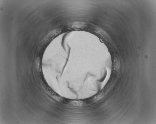 X0000062640328200601181751