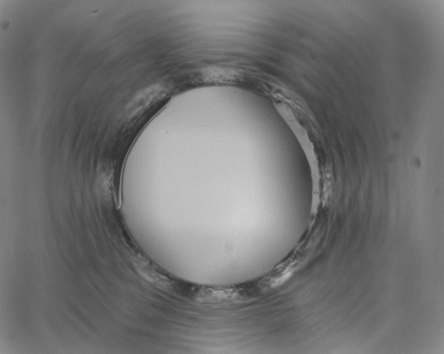 X0000062640329200601181751