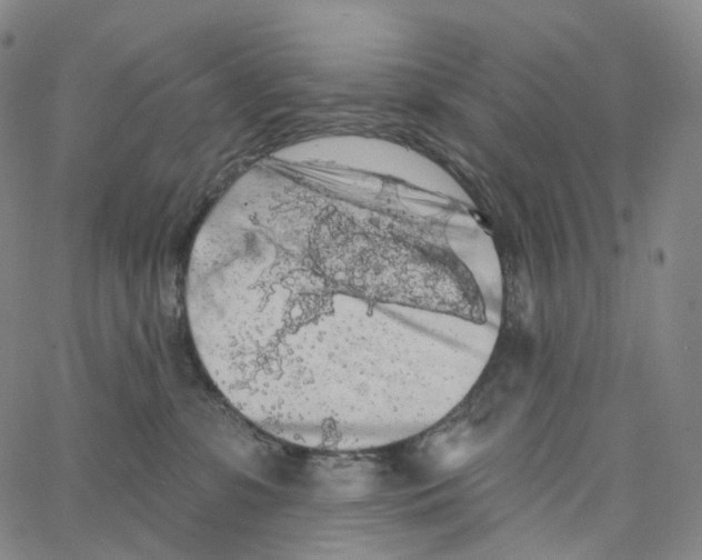 X0000062640331200601181751