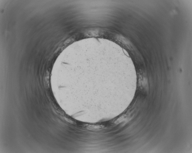 X0000062640332200601181751