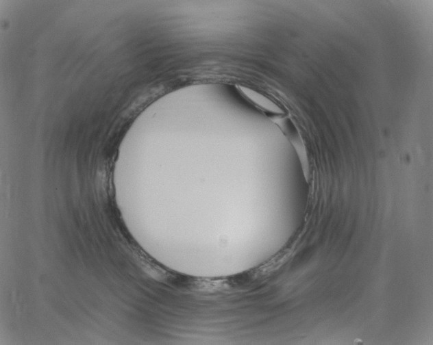 X0000062640333200601181751