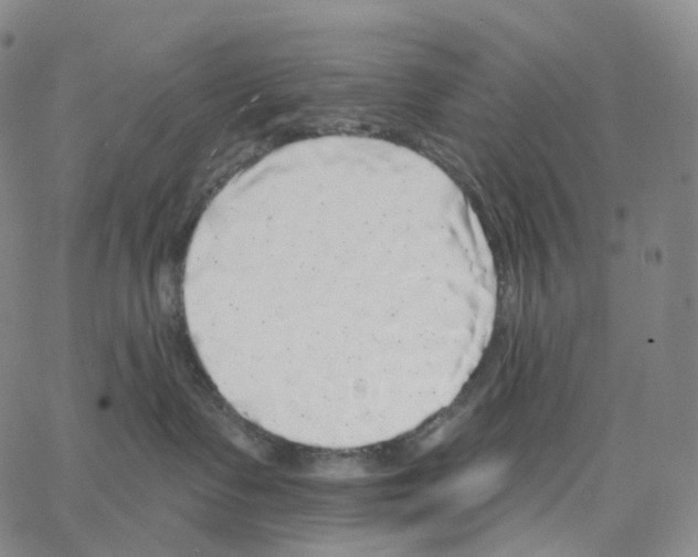 X0000062640335200601181751