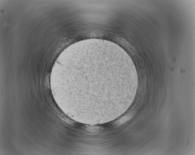 X0000062640336200601181751